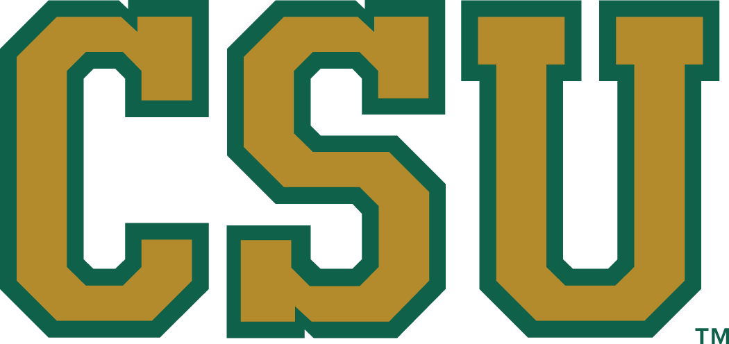 Colorado State Rams 1993-2014 Secondary Logo v2 diy fabric transfer